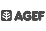 Agef